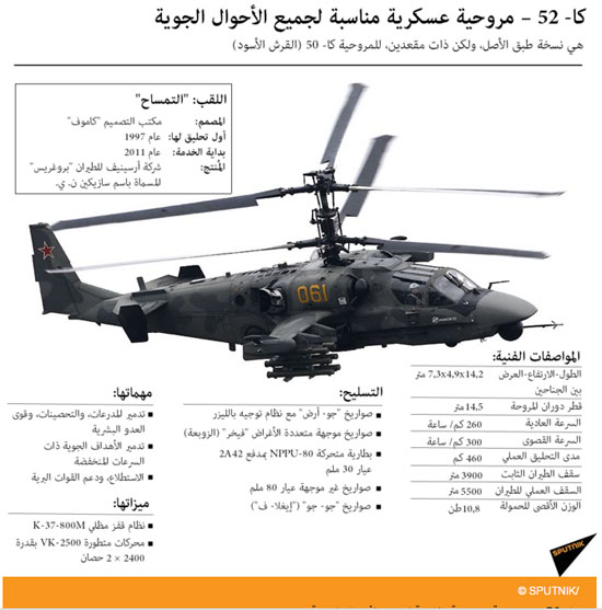 الانفو الانفو