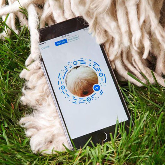 فيس بوك ماسنجر (1)