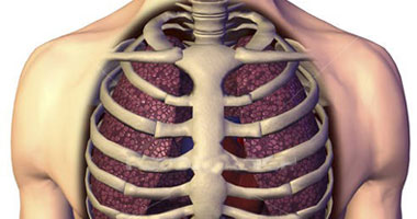 ماهو الفارق بين آلام الصدر وآلام القلب؟
