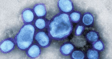 54 حالة إصابة بأنفلونزا "h1n1" خلال شهر إبريل بسلطنة عمان