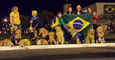 "الكلاب" تؤازر البرازيل قبل مواجهة الكاميرون