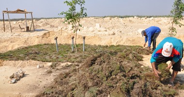 محافظ بنى سويف: بدء تسوية 15 فدانا وزراعة 2000 شجرة بمشروع الغابة