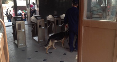 الكلاب البوليسية تمشط مترو حلوان تزامنا مع خروج الطلاب من الجامعة
