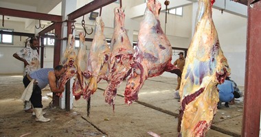 الطب البيطرى:حملة مكثفة على المجازر ومصانع اللحوم بالقليوبية خلال رمضان