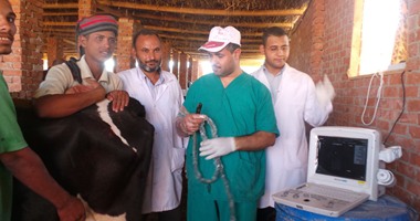 "بيطرى جنوب سيناء": دعم المديرية بجهاز سونار للكشف على الماشية