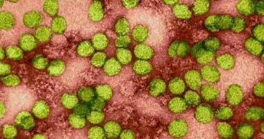 "الصحة" تبدأ الكشف عن فيروس سى فى قرى 9 محافظات بالصعيد