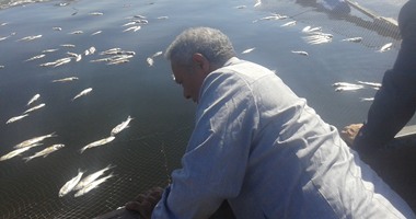 بالصور.. مساعد وزير الصحة يتابع معالجة نفوق الأسماك بالبحيرة وكفر الشيخ