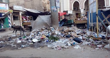 "صحافة المواطن".. انتشار القمامة بمركز جرجا فى سوهاج