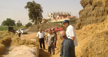 شئون البيئة: تحرير 3137 محضر حرق قش أرز بالغربية وكفر الشيخ