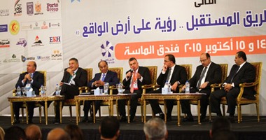 رجل الأعمال أحمد هيكل: مصر لا تستغل الطاقة على الوجه الأمثل