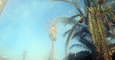 السيطرة عل حريق فى نخل وأشجار دوم بمدينة إسنا دون مصابين