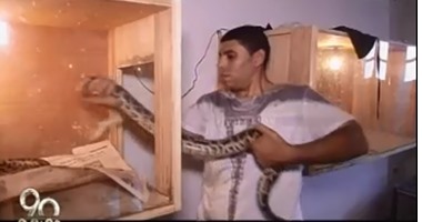 بالفيديو. مواطن يحول منزله لـ"بيت زواحف" بسبب حبه الشديد للثعابين