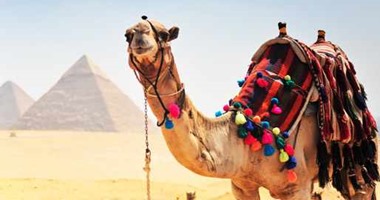 مسئول بمؤتمر السياحة العلاجية: مصر الأولى كمقصد للسياحة العلاجية 