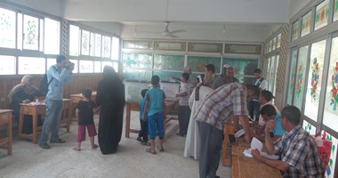 المنظمة المصرية لحقوق الإنسان ترصد توجيه الناخبين فى مركزى طما وسوهاج