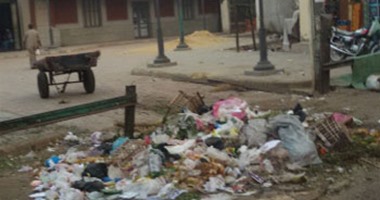"صحافة المواطن".. القمامة منتشرة فى شوارع مدينة أبو كبير بالشرقية