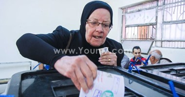 8 وقفات أمام لجان الانتخاب للمصريين بعد 2011.. سجل يا تاريخ