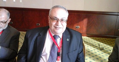 دكتور هشام الحفناوى: قريبا الإعلان عن أول قرية خالية من مضاعفات السكر