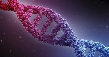 كيف يؤثر اختبار الحمض النووى على حياتنا؟