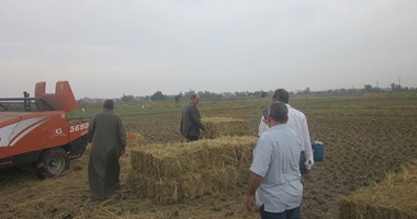 بالصور.. وكيل زراعة الشرقية: تحرير 3055 محضرا لحرق قش الأرز بالمحافظة