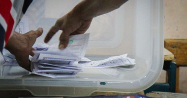 ننشر نتائج فرز 4 لجان انتخابية بمركز "بلاط" بالوادى الجديد
