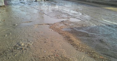 "صحافة المواطن"..بالصور..مياه الصرف الصحى تؤرق سكان البساتين