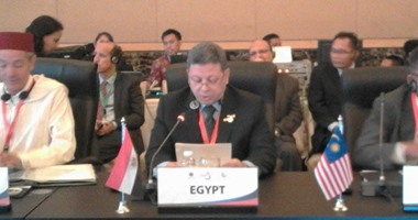 وزير القوى العاملة: مصر تخطو لاستعادة وتعزيز أدوارها الإقليمية