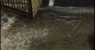 "صحافة المواطن": قارئ يشارك بصور هطول أمطار غزيرة بمدينة دالاس بأمريكا