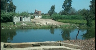 "صحافة المواطن": مخالفات وتعديات بالجملة على ضفاف نهر النيل بقرية كفر خزاعل بالغربية
