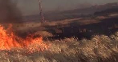 البيئة: تحرير 101 محضر لحرائق مخلفات زراعية فى المنيا