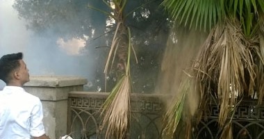 إصابة 4 مواطنين فى حريق اشجار بشارع الهرم 