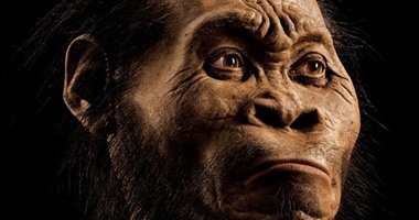 علماء: حفريات البشر الأوائل المكتشفة حديثا تحمل صفات الشمبانزى