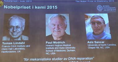 بالصور.. فوز أمريكى وتركى وسويدى بجائزة نوبل للكيمياء 2015