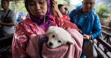 الحيوانات أولا.. الصينيون يحمون كلابهم من الأمطار بأغطيتهم الخاصة