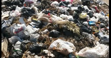 قارئ يشارك "صحافة المواطن" بصور تراكم القمامة فى منطقة قحافة بطنطا