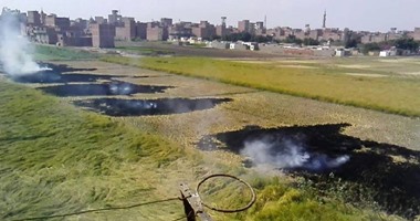 1500 محضر حرق قش أرز بكفر الشيخ