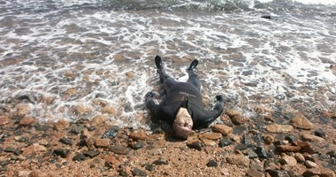 مصرع شاب غرقا بأحد شواطئ الغردقة أثناء ممارسة السباحة 