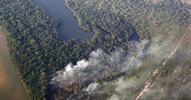بالصور.. رجال الحماية المدنية فى البرازيل تسعى للسيطرة على حرائق الغابات
