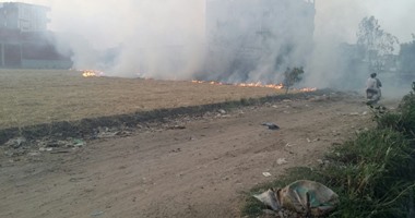 صحافة المواطن.. حرق قش الأرز فى قرية "محلة أبو على" بالغربية