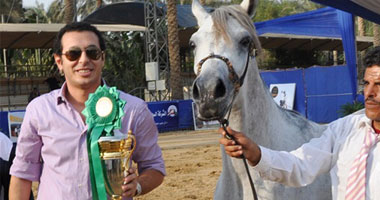 "حصان" مصطفى شعبان الأكثر جمالا فى مهرجان الخيول الدولى بسقارة