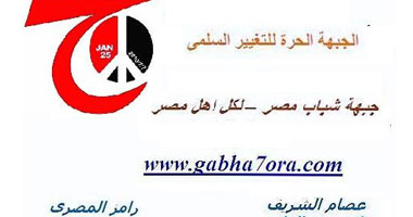"الحرة للتغيير السلمى" تدعو لعصيان 11 فبراير حتى تسليم السلطة