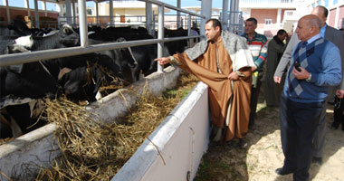 بالصور.. محافظ شمال سيناء يطالب بتحقيق الاكتفاء الذاتى من اللحوم