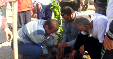 "أوقاف الإسكندرية" تقرر تجميل مساجد المحافظة ضمن حملة زراعة مليون شجرة