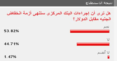 54 % من القراء إجراءات البنك المركزى ستنهى أزمة انخفاض الجنيه