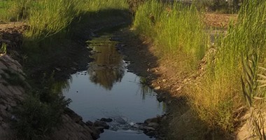 بالصور..300 فدان مهددة بالبوار فى قرية دفرة بطنطا بسبب نقص المياه