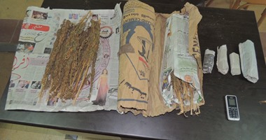 ضبط عامل بحوزته 4 كيلو من نبات البانجو المخدر بكفر الشيخ