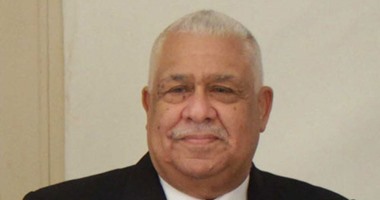 رئيس "اقتراحات البرلمان": منظمة العفو الدولية مشبوهة وتكذب على مصر