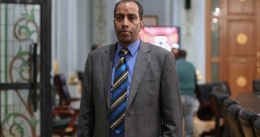 النائب محمد سليم عسكر: اللائحة الداخلية لـ"دعم مصر" صياغتها ركيكة