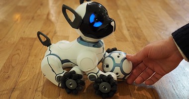 علماء يطورون "روبوت" على شكل كلب يستقبل أصحاب المنزل ويتعاطف معهم