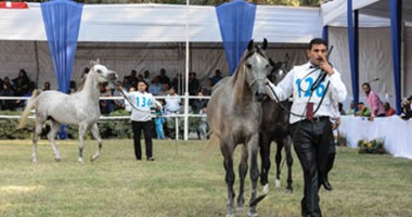 وزير الزراعة وسلطان الجابر يلتقطان صورا بعرض رقص الخيول على أنغام الموسيقى