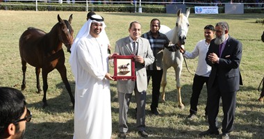 تكريم منصور بن زايد فى بطولة جمال الخيول العربية الأصيلة فى القاهرة